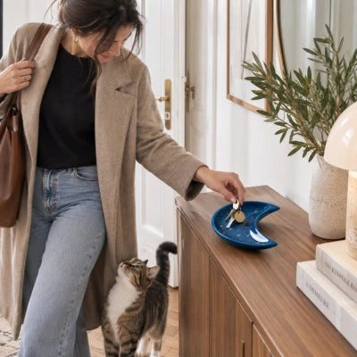 vide-poche-romane-accueille-son-chat